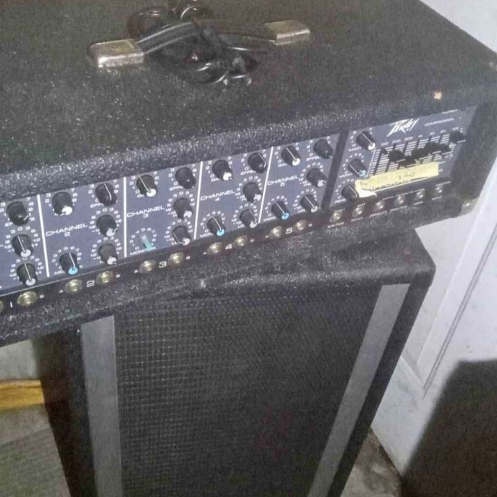 Peavey amp n speaker